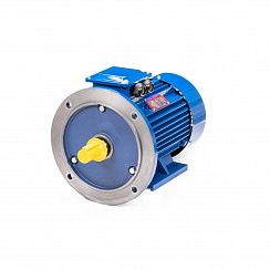 Электродвигатель 5АИ 100 L6 2,2/1000 IM2081