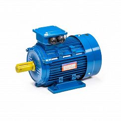 Электродвигатель 5АИ 100 L2 5,5/3000 IM1081