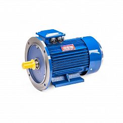 Электродвигатель 5АИ 100 L6 2,2/1000 IM2081