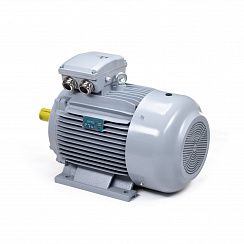 Электродвигатель ESQ PR 180 M2-SDN-Б1-S12-IE2 22/3000 IMB3