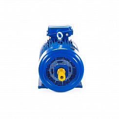 Электродвигатель 5МТКН 311-6 11/1000 IM1001