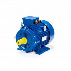 Электродвигатель ESQ 160 MB2-SDN- 15/3000 IMB3