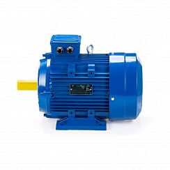 Электродвигатель ESQ 100 LС4-SDN- 4/1500 IMB34