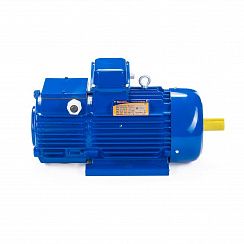 Электродвигатель 5MTH 713-10 160/600 IM1003