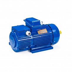 Электродвигатель 5MTH 400 S10 110/600 IM1003