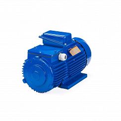 Электродвигатель 5МТН 311-6 11/1000 IM1001