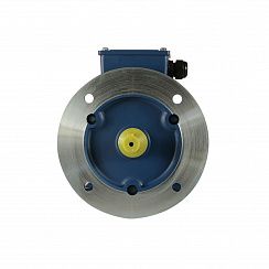 Электродвигатель 5АИ 63 А4 0,25/1500 IM2081