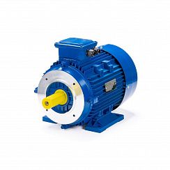 Электродвигатель ESQ 160 MA8-SDN- 4/750 IMB34
