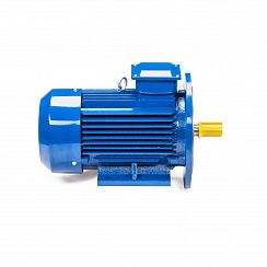 Электродвигатель 5АИ 100 L4 4/1500 IM2081