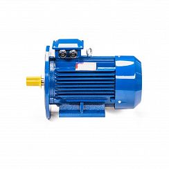 Электродвигатель 5АИ 100 S4 3/1500 IM2081