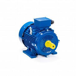 Электродвигатель ESQ 180 M2-SDN- 22/3000 IMB3