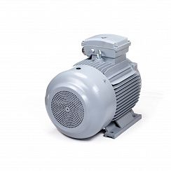 Электродвигатель ESQ PR 180 M2-SDN-Б1-S12-IE2 22/3000 IMB3