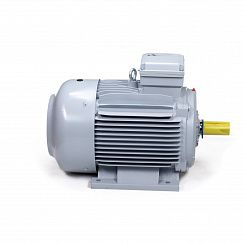 Электродвигатель ESQ PR 180 M2-SDN-Б1-S12-IE2 22/3000 IMB3