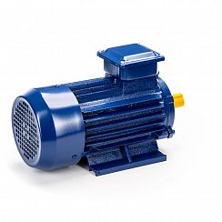 Электродвигатель 5АИ 63 А2 0,37/3000 IM1081